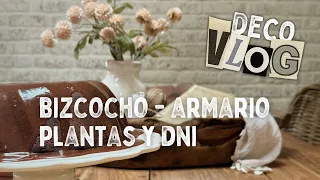 🪴 Abono Casero para Plantas + 🧥 Cambio de Armario + 👩🏼‍🍳 Bizcocho