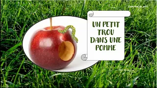 L'HISTOIRE "Un petit trou dans une pomme"🍎