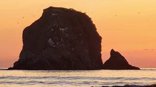 Shi Shi Beach Trail, Olympic Peninsula WA - July 2023