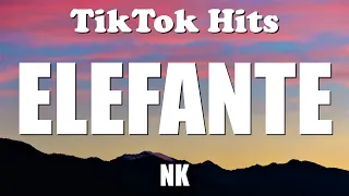 NK - ELEFANTE (Lyrics) - TikTok Hits