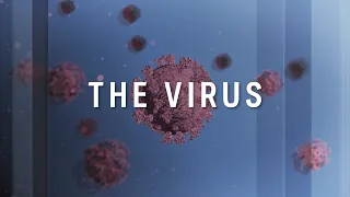 The Virus: The latest on the global fight against the COVID-19 pandemic - May 15 | ABC News