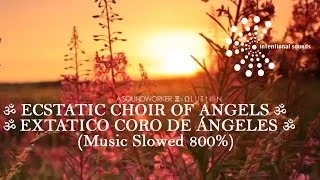 ॐ ECSTATIC CHOIR OF ANGELS ➠ EXTATICO CORO DE ÁNGELES ॐ