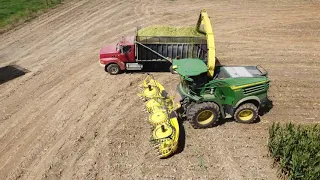 Chopping Corn Silage 2020