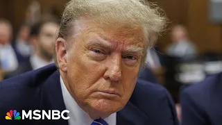 'Most like a criminal': Bad day in court for Trump as Cohen testimony outlines cover-up