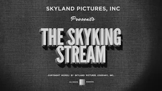 Skyking Creates: We're back taking a week break. Join me.