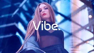 Tiesto - The Business (Ok+ Remix) @Vibeofficialyt