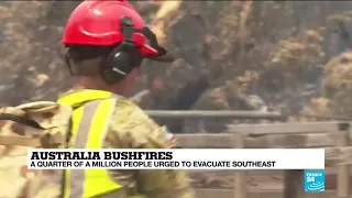The ecological impact of the Australia bushfires