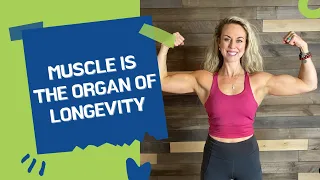 Muscle is the organ of longevity
