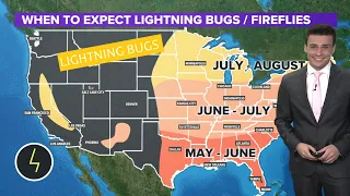 When is lightning bug and firefly season?