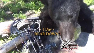 (1 DAY) IDAHO ARCHERY SPRING BEAR HUNT (2021)