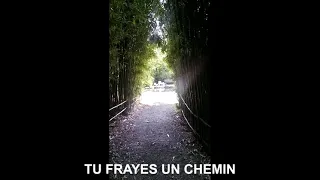 TU FRAYES UN CHEMIN