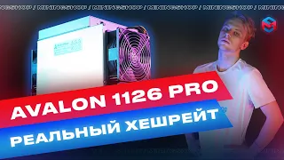 Честный обзор  Асика CANAAN  AVALON 1126 PRO