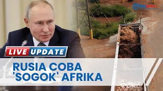 Rusia Kirim 260 Ribu Ton Pupuk ke Afrika Supaya Tidak Gagal Panen, Curiga Moskow Ada Maunya
