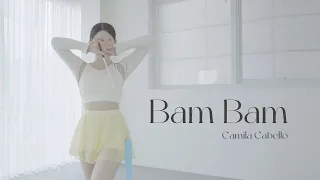 Bam Bam _ Camila Cabello [Ribbon Cgoreography/리듬체조/리본안무/댄스/리본코레오]