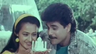 Nagarjuna Trying To Kiss Amala || Prema Yudham Movie Scenes