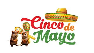 Squirrels Dance the Tango:  Happy Cinco de Mayo Day #cincodemayo #feeding squirrels #funny animals