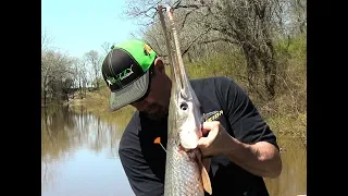 Blow gunning Giant River Gar, World Record BLOW FISHING RECORD