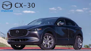 2020 Mazda CX-30 Premium AWD: Andie the Lab Review!