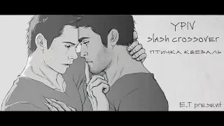 [YPIV CLOSED] slash crossover | птичка квезаль