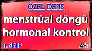 31) Menstrüal Döngü - Hormonal Kontrol - Özel Ders (11. Sınıf)