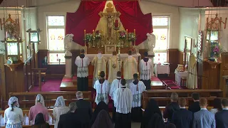 SSPXNZLIVE - Feast of the Epiphany and Ceremony of perpetual vows of the Dominican Order