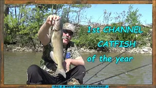 my 1st Channel Catfish of the year