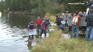 В водоеме Ревды появились новые обитатели