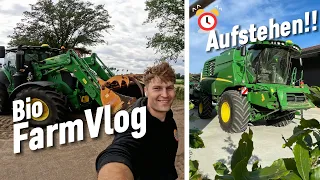 Erntevorbereitung - Unkraut in der Sojabohne nimmt Überhand & andere Kleinigkeiten / Vlog 28