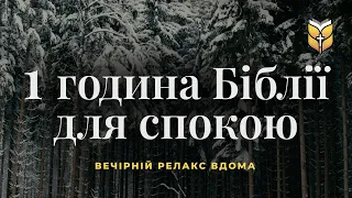 1 година Біблії для заспокоєння. Релакс #Біблія Сучасний переклад українською