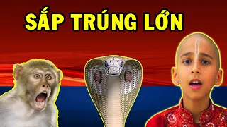 Tiên Tri Chấn Động: 2 Con Giáp Bất Ngờ Trúng Cực ĐẬM, ĐỔi Đời CỰc Giàu