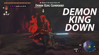 Guide to Destroy Demon King Ganondorf | Zelda TotK