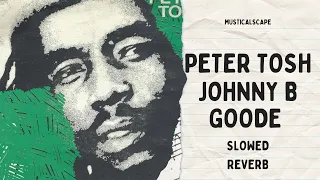Peter Tosh - Johnny B Goode (Slowed) Hq