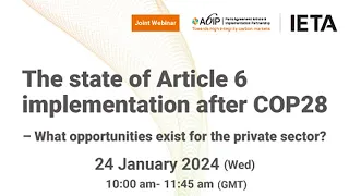 The state of Article 6 implementation after COP28 – What opportunities exist for the private sector?
