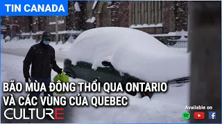 🔴TIN CANADA CHIỀU 17/01 | Paxlovid, viên thuốc uống COVID-19 của Pfizer, đã được phê duyệt ở Canada