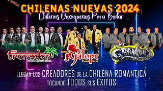 Grupo Galope ft Grupo Tronador ft Los Grandes de Oaxaca || Chilenas Oaxaqueñas Para Bailar