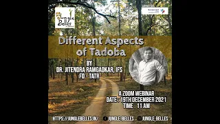 Jitendra Ramgaonkar, IFS, FD, TATR - Different Aspects of Tadoba | Jungle Belles