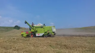 Жнива 2018. Claas Dominator 66