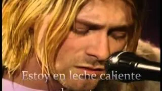 Nirvana - Pennyroyal Tea - Sub. Español