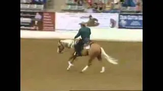 NRBC 2011 Classic Finals - Shawn Flarida on Shine Chic Shine - 231