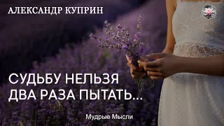 Куприн | Лучшие Цитаты и Высказывания Александра Куприна, Которые Нужно Знать!