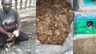 Transformer les épluchures de manioc en farine