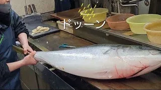 【職人技】30年魚を捌き続けた男の”超特大”20㌔のブリ捌いてしゃぶ×2にしたら過去一番で美味しかった。How to prepare large fish