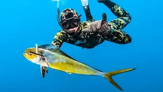 Bluewater SPEARFISHING Mahi Mahi! - Tusk Fish Catch n Cook