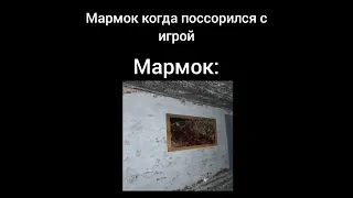 #мем #meme #mem #меме #memes #мармок