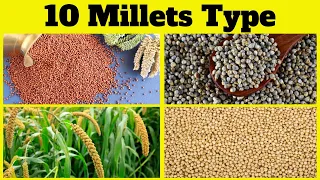 🌾 Discover 10 Types of Millets for Kids! 🌾Healthy and Tasty Millets Explained for Kids