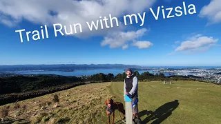 Running with my Vizsla | Training for our mud run race