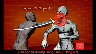 260 Ứng dụng các tuyệt chiêu võ thuật hạ ngục đối thủ trong vài giây