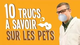 Top 10 des trucs à savoir sur les pets