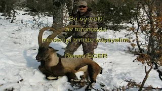 Bezoar Ibex(teke) Hunting in Turkey with Recep Ecer