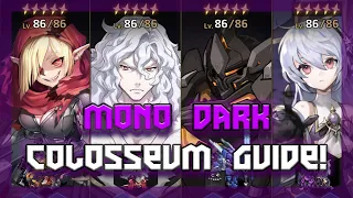 Mono Dark Colosseum QUICK GUIDE! | Guardian Tales